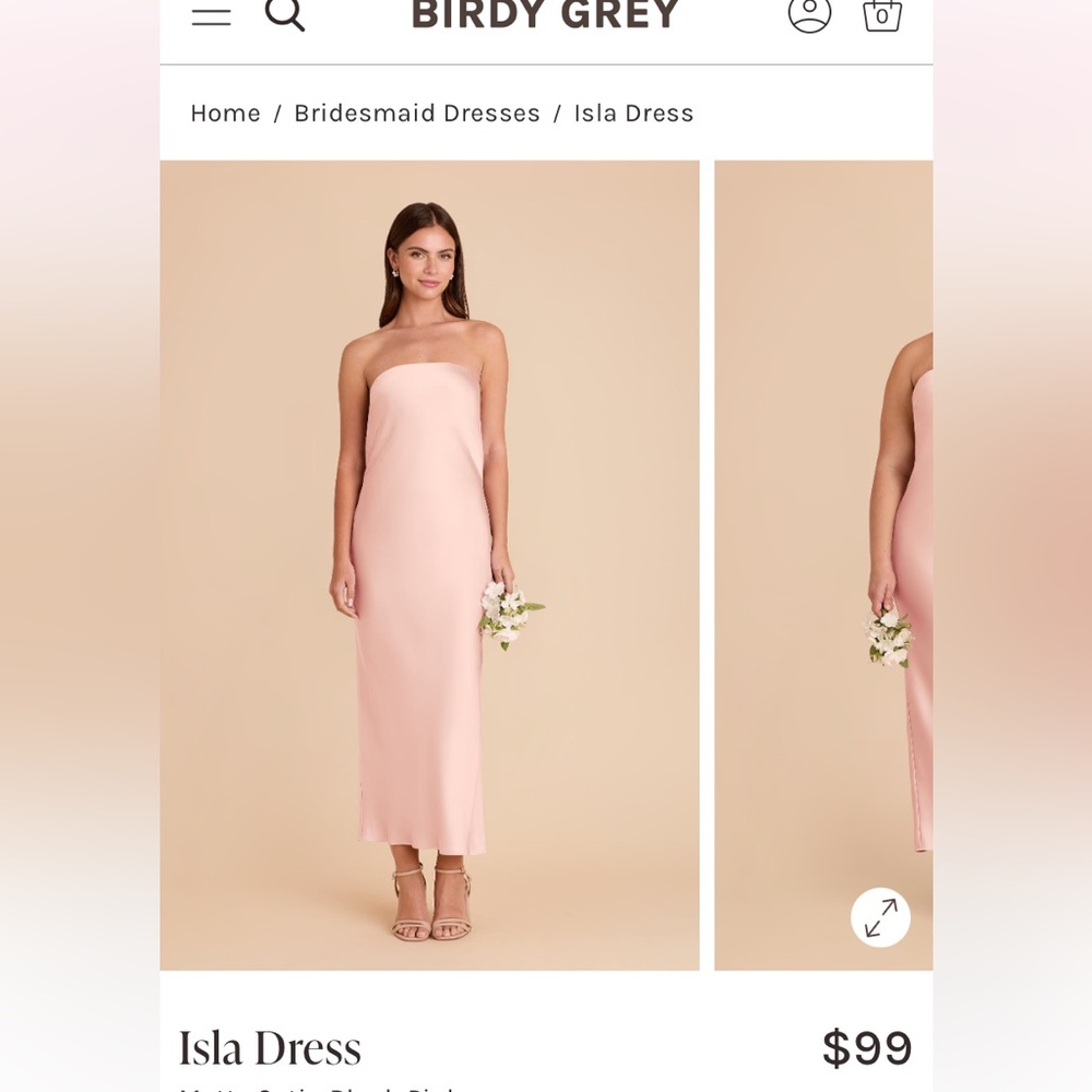 Birdy Grey Strapless Dress - Pale Blush Satin